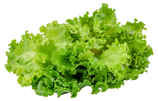 une bouquet de vert salade - Stock .. png