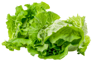 A bunch of green lettuce leaves are piled on top of each other - stock .. png