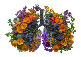 em forma de pulmão floral arranjo com vibrante flores, cortar Fora - estoque .. png