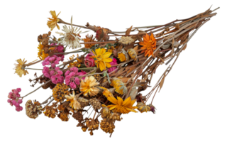 A bunch of dried flowers are arranged in a bunch - stock .. png