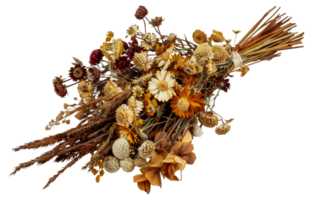 A bouquet of dried flowers is displayed - stock .. png