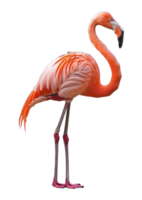 Rosa flamingo em pé graciosamente, cortar Fora - estoque .. png