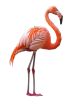 Pink flamingo standing gracefully, cut out - stock .. png