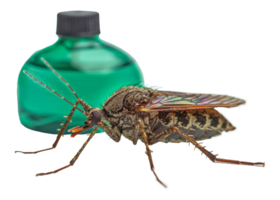 close of mosquito on a green liquid backdrop, cut out - stock . png