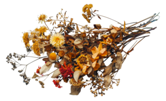A bouquet of dried flowers with yellow and orange petals - stock .. png
