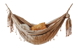 Hammock tied, cut out - stock . png