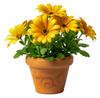 A yellow flower pot with a bunch of yellow flowers in it - stock .. png