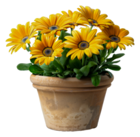 une vase de Jaune fleurs est assis - Stock .. png