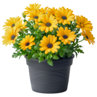 A vase of yellow flowers sits - stock .. png