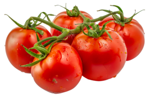 A bunch of ripe red tomatoes are sitting - stock .. png