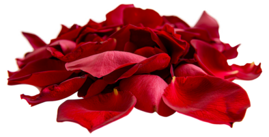 A close up of red flower petals - stock .. png