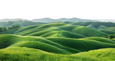 Lush green rolling hills under, cut out - stock .. png