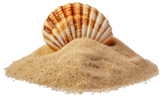 A shell is on top of a pile of sand - stock .. png