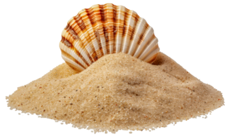 une coquille est sur Haut de une pile de le sable - Stock .. png