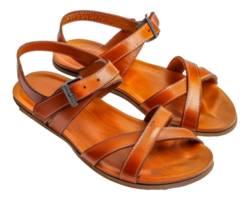 Two brown sandals with a strap on the top - stock .. png