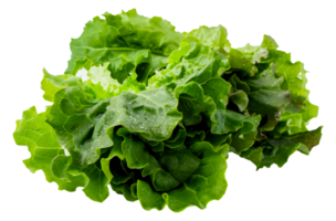 une bouquet de Frais vert salade feuilles - Stock .. png