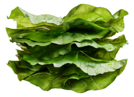 A bunch of fresh green lettuce leaves - stock .. png