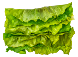 une bouquet de Frais vert salade feuilles - Stock .. png