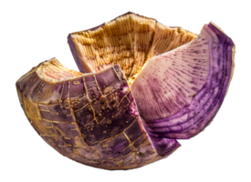 A purple vegetable with a brown spot on it - stock .. png