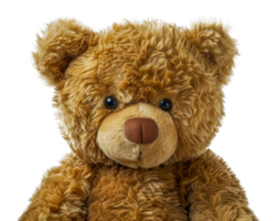 A teddy bear with brown fur and a black nose - stock .. png