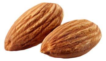 Two almonds are shown on a white background - stock .. png
