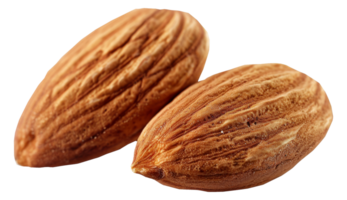 deux amandes sont montré sur une blanc Contexte - Stock .. png