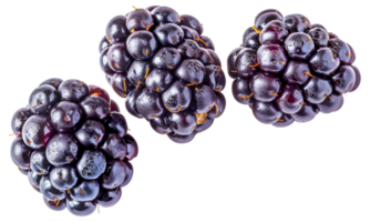 Three black berries are shown in a row - stock . png