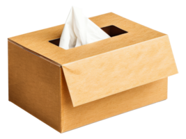 ein Box mit ein Gewebe Innerhalb von es - - Lager .. png