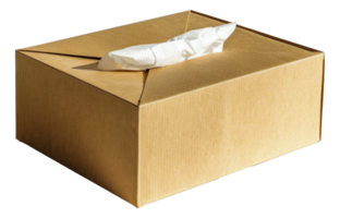 een bruin karton doos met een wit zakdoek binnen - voorraad .. png