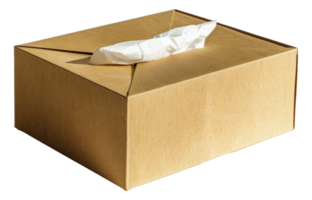 A brown cardboard box with a white tissue inside - stock .. png