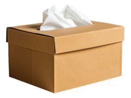 A box of tissues sits - stock .. png