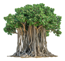 A large tree with many branches and roots - stock .. png