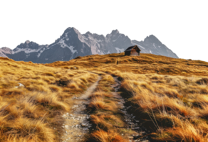 A road winds through a field of tall grass and rocky terrain - stock .. png