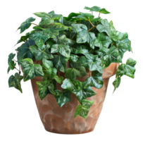 Ivy growing in a textured brown pot on transparent background - stock .. png