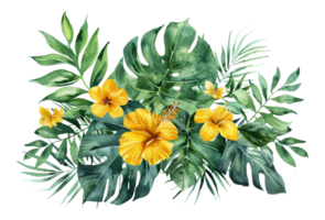 Watercolor tropical flowers and foliage arrangement on transparent background - stock . png