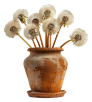 A vase of white flowers sits - stock .. png