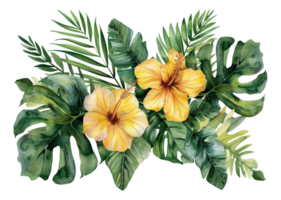 Watercolor tropical flowers and foliage arrangement on transparent background - stock . png