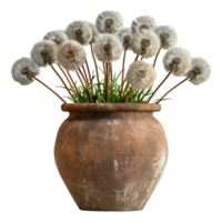 une vase de blanc fleurs est assis - Stock .. png