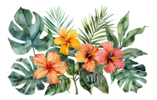 Watercolor tropical flowers and foliage arrangement on transparent background - stock . png