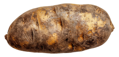 un grande patata con un pardusco piel - valores .. png