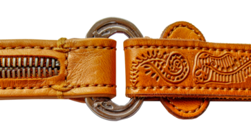 A brown leather belt with a silver buckle - stock .. png
