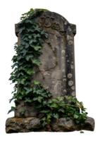 Ancient gravestone covered in ivy, cut out - stock .. png