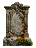 Ancient gravestone covered in ivy, cut out - stock .. png