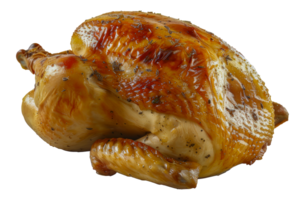 Roasted turkey for Thanksgiving, cut out - stock .. png