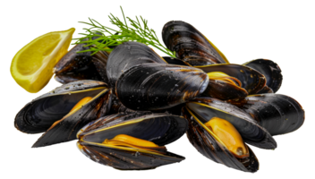 moules avec citron et herbes, Couper en dehors - Stock .. png