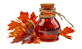 Autumn maple syrup in glass bottle with leaves, cut out - stock .. png