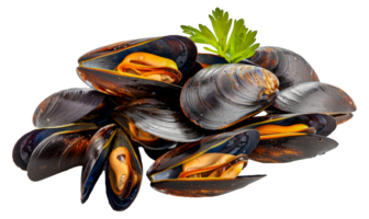 Fresh mussels, cut out - stock . png