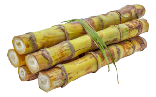 Bundled sugarcanes, cut out - stock . png