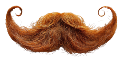 Orange abstrait moustache conception, Couper en dehors - Stock .. png