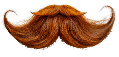 Orange abstract mustache design, cut out - stock .. png